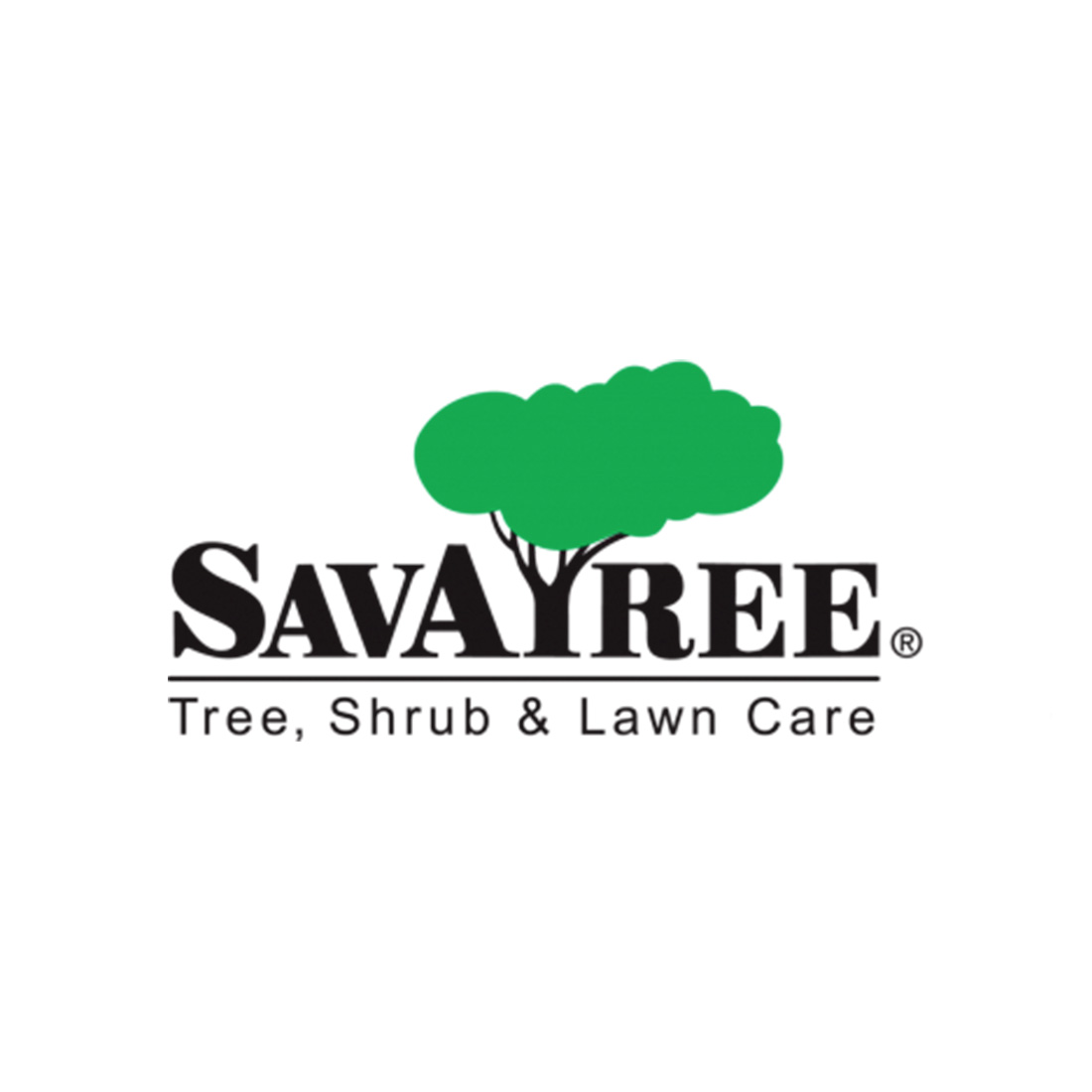 SavATree